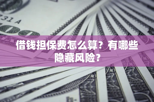 武汉借钱担保费怎么算？有哪些隐藏风险？