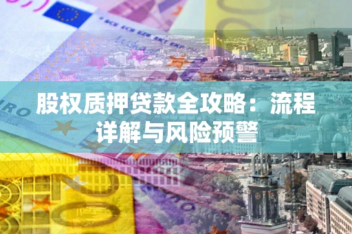 武汉股权质押贷款全攻略：流程详解与风险预警