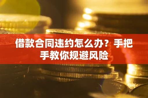 武汉借款合同违约怎么办？手把手教你规避风险