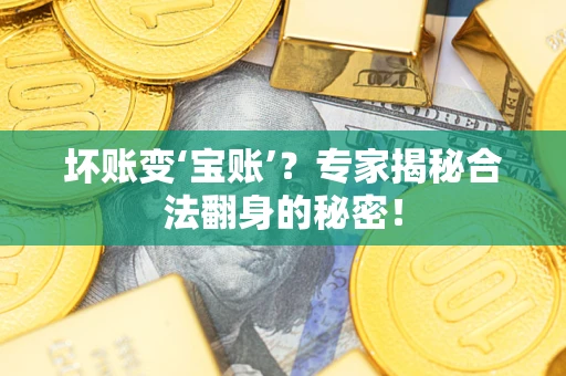 武汉坏账变‘宝账’？专家揭秘合法翻身的秘密！