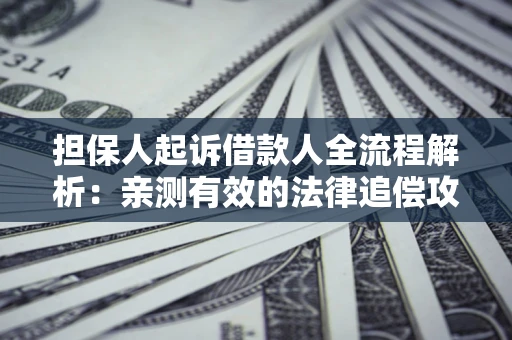 武汉担保人起诉借款人全流程解析：亲测有效的法律追偿攻略