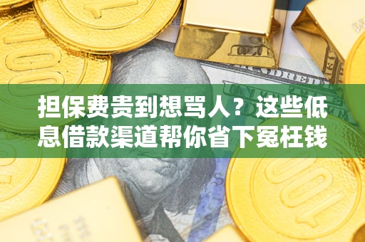 武汉担保费贵到想骂人？这些低息借款渠道帮你省下冤枉钱