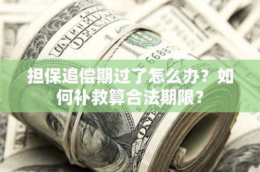 武汉担保追偿期过了怎么办？如何补救算合法期限？