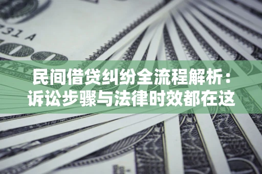武汉民间借贷纠纷全流程解析：诉讼步骤与法律时效都在这儿了