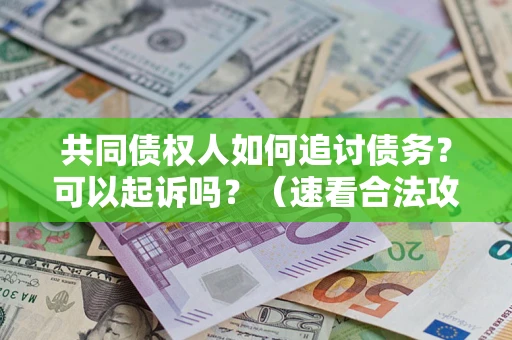 武汉共同债权人如何追讨债务？可以起诉吗？（速看合法攻略）