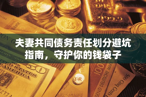 武汉夫妻共同债务责任划分避坑指南，守护你的钱袋子