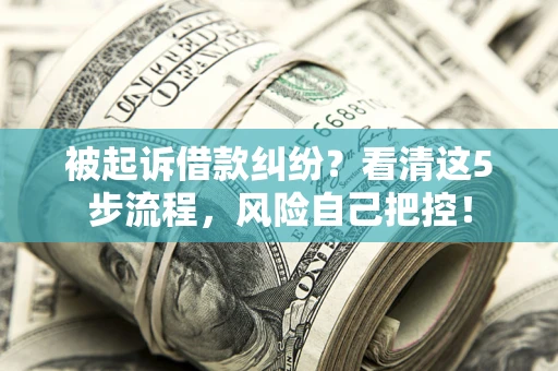 武汉被起诉借款纠纷？看清这5步流程，风险自己把控！