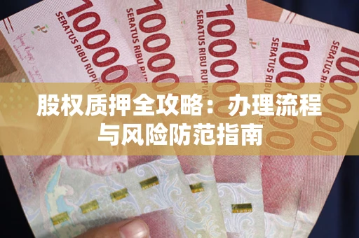 武汉股权质押全攻略：办理流程与风险防范指南