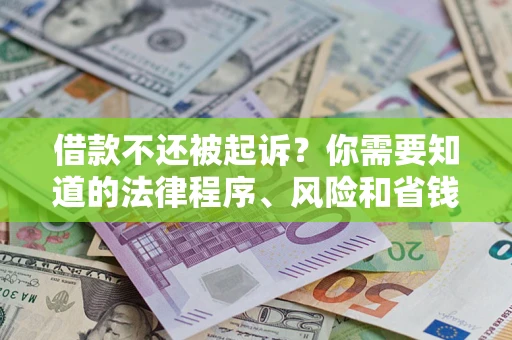 武汉借款不还被起诉？你需要知道的法律程序、风险和省钱技巧