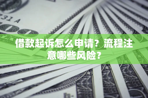 武汉借款起诉怎么申请？流程注意哪些风险？
