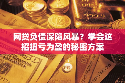 武汉网贷负债深陷风暴？学会这招扭亏为盈的秘密方案