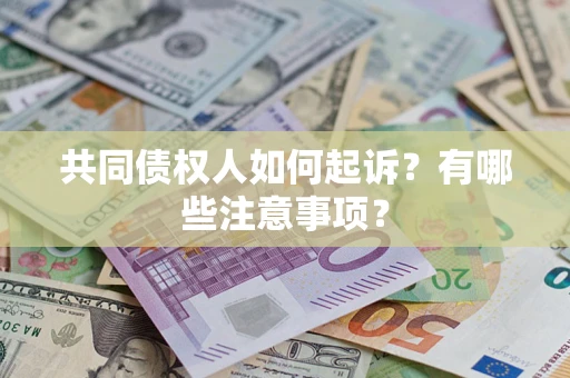 武汉共同债权人如何起诉？有哪些注意事项？