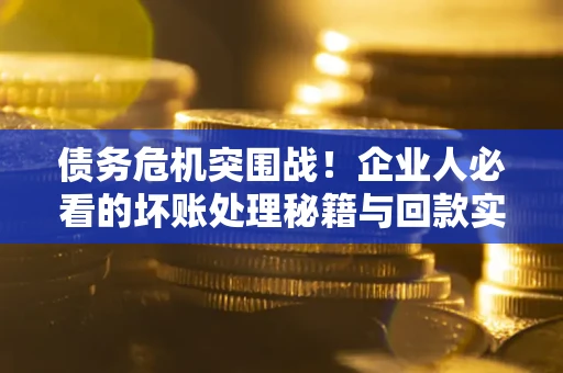 武汉债务危机突围战！企业人必看的坏账处理秘籍与回款实战指南